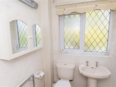 Picture 21